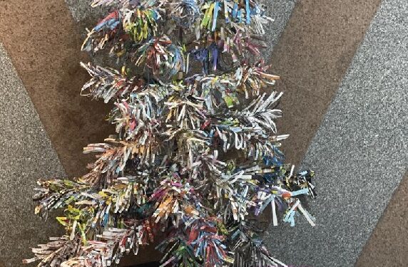 Un sapin de Noël respectueux de l’environnement 2 - Le Progrès Egyptien Un sapin de Noël respectueux de l’environnement 1 - Le Progrès Egyptien