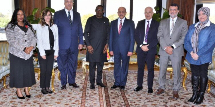 <strong>Aviation : Intérêt à transférer l'expertise égyptienne au Sierra Leone</strong> 1 - Le Progrès Egyptien