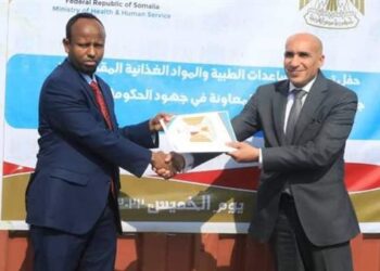 L’Egypte présente des aides alimentaires et médicales à la Somalie