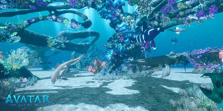 Jeu en ligne pour financer la protection des océans 1 - Le Progrès Egyptien