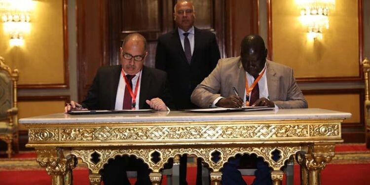 Transport fluvial : Partenariat avec le Soudan 1 - Le Progrès Egyptien