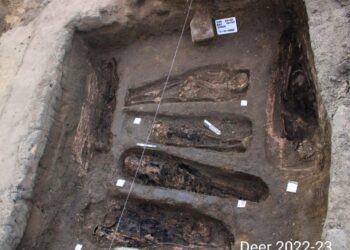 Découverte d’une vingtaine de tombes à Damiette