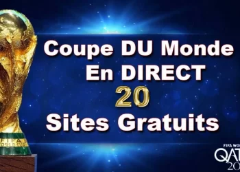 L’Egypte vue de twitter