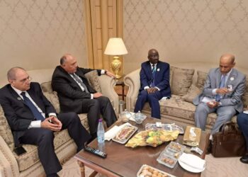 Choucri s’entretient avec le ministre des Affaires étrangères et des Mauritaniens à l’étranger