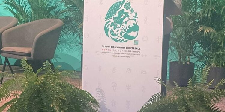 <strong>L'Egypte appelle à une approche intégrée pour faire avancer les questions de biodiversité  </strong> 1 - Le Progrès Egyptien