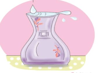 Autant de similitudes entre deux pays (1)