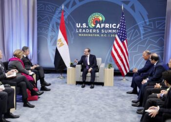 Al-Sissi examine avec Blinken le partenariat stratégique bilatéral