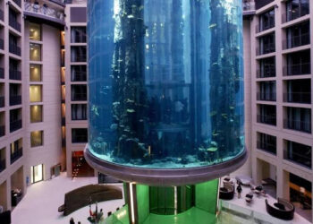 À Berlin, explosion du plus grand aquarium cylindrique au monde