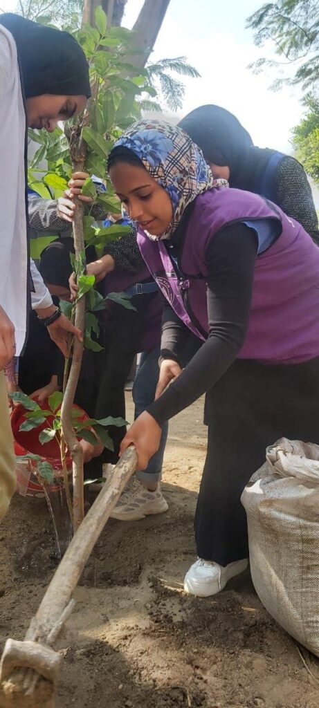 Plantation de 250 arbres pour célébrer la journée du bénévolat 4 - Le Progrès Egyptien Plantation de 250 arbres pour célébrer la journée du bénévolat 3 - Le Progrès Egyptien