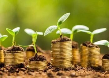 La jeunesse égyptienne opte pour les projets propres