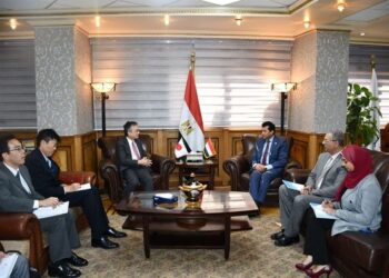 Coopération égypto-nipponne dans le domaine de la jeunesse