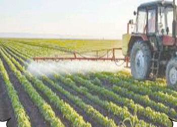 Le secteur agricole contribue à 15% du PIB