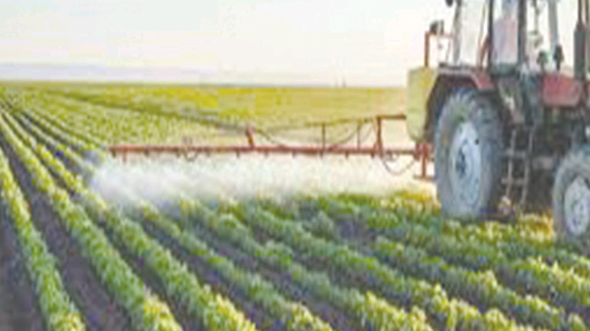 Le secteur agricole contribue à 15% du PIB 1 - Le Progrès Egyptien