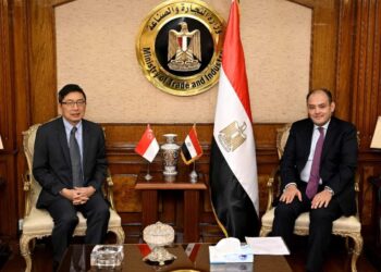Egypte-Singapour : Renforcer la coopération économique