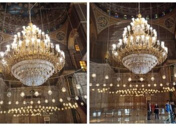 Le poisson « Bolti » à Saqqarah