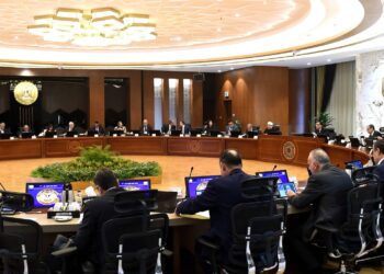 <strong>Gouvernement : Lien </strong><strong>pour solliciter la "licence dorée"</strong> 3 - Le Progrès Egyptien Gouvernement : Lien pour solliciter la “licence dorée”