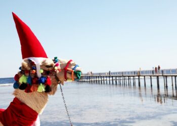 « Petit papa Noël » dans les maisons égyptiennes !