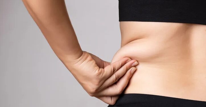 La graisse sous-cutanée protège le cerveau des femmes 2 - Le Progrès Egyptien La graisse sous-cutanée protège le cerveau des femmes 1 - Le Progrès Egyptien