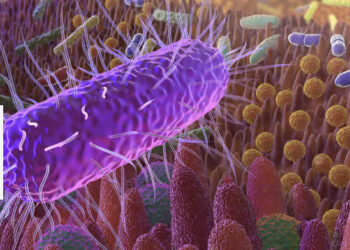 Un colorant suspecté dans l’apparition de maladies intestinales