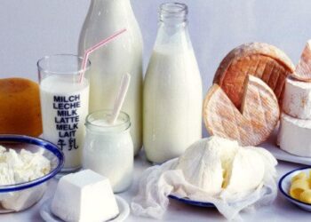 Produits laitiers, entre risque et nécessité