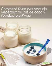 Quel yaourt végétal choisir ?