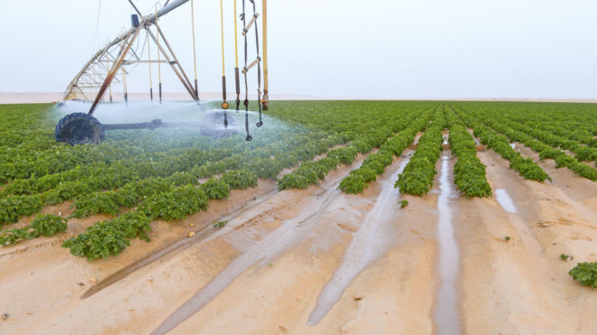La recherche scientifique au service de l’Irrigation 2 - Le Progrès Egyptien La recherche scientifique au service de l’Irrigation 1 - Le Progrès Egyptien