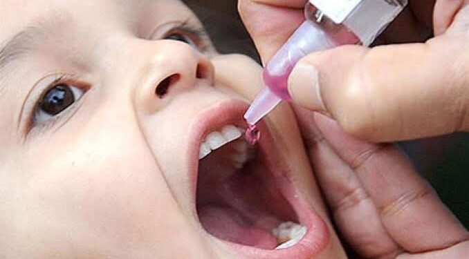 La vaccination contre la poliomyélite ne s’oppose pas à d’autres vaccins 2 - Le Progrès Egyptien La vaccination contre la poliomyélite ne s’oppose pas à d’autres vaccins 1 - Le Progrès Egyptien