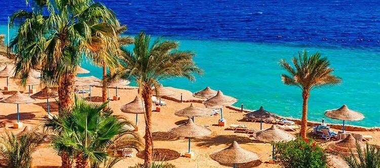 Mer Rouge : Promotion du tourisme suédois 1 - Le Progrès Egyptien