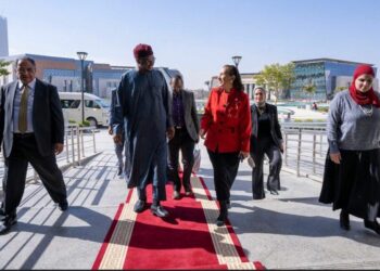 Booster la coopération scientifique avec le Nigeria
