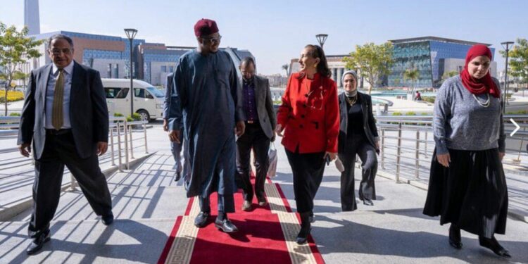 Booster la coopération scientifique avec le Nigeria 1 - Le Progrès Egyptien