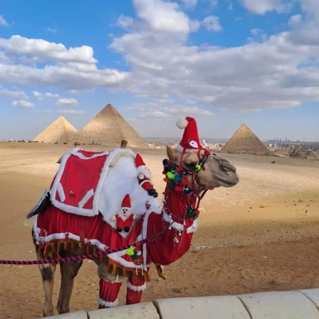 Célébrer Noël différemment ! 7 - Le Progrès Egyptien