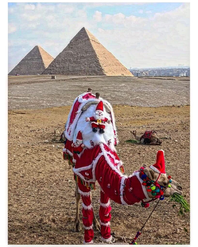 Célébrer Noël différemment ! 3 - Le Progrès Egyptien