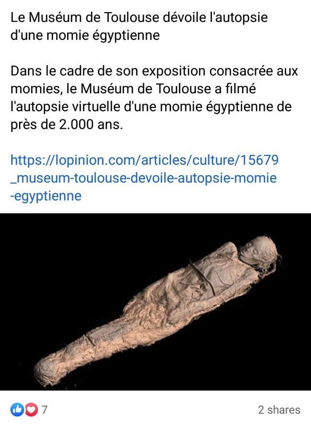 Des hashtags en vogue 35 - Le Progrès Egyptien