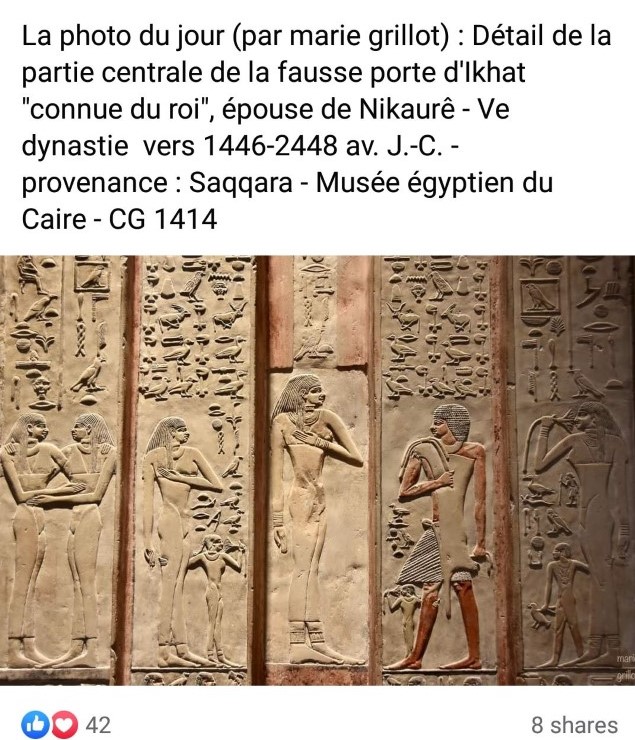 Des hashtags en vogue 37 - Le Progrès Egyptien