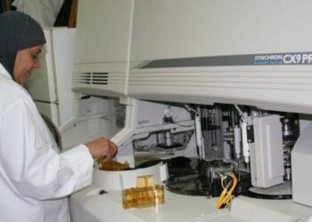 Recherches scientifiques : L’Egypte 1ère en Afrique