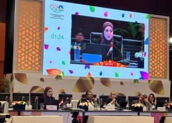 L’Egypte à la 1ère réunion du Groupe de travail technique sur le développement des pays du G20