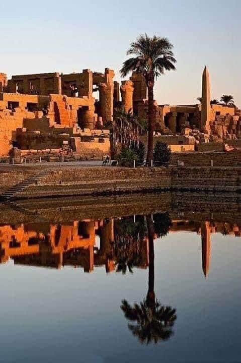 Des hashtags en vogue 7 - Le Progrès Egyptien