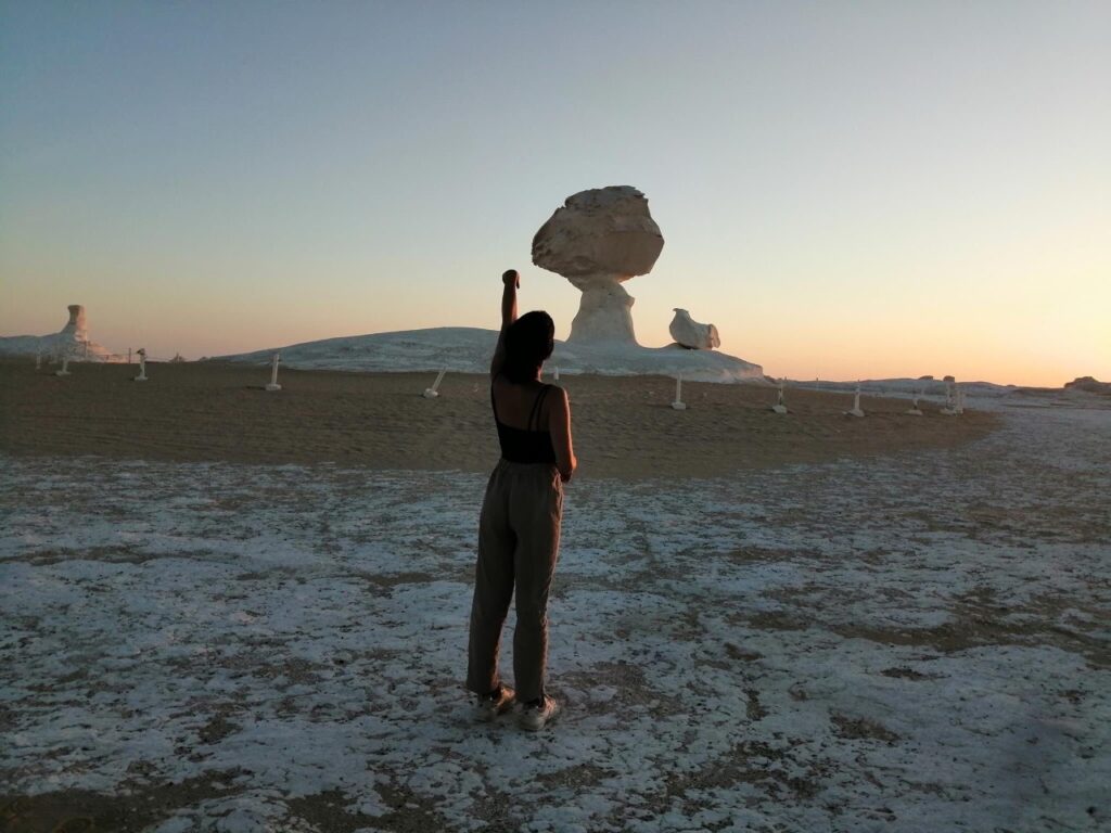 Des hashtags en vogue 5 - Le Progrès Egyptien