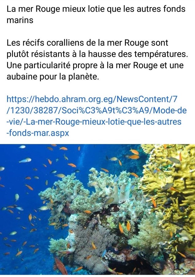 Des hashtags en vogue 21 - Le Progrès Egyptien