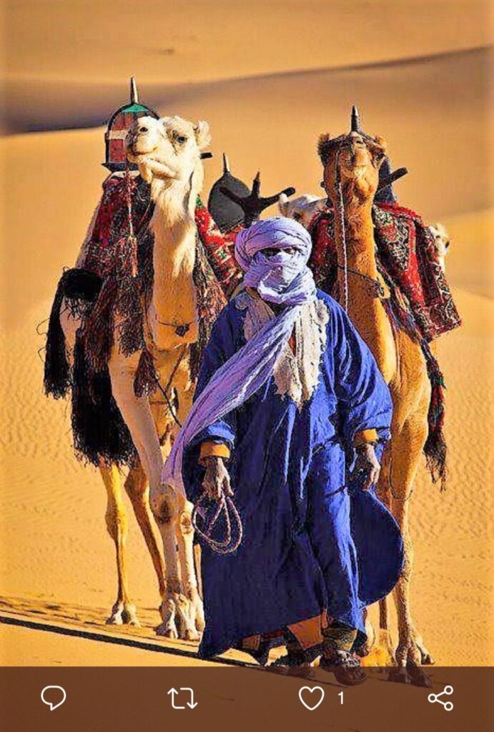 Des hashtags en vogue 9 - Le Progrès Egyptien