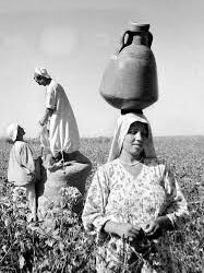 « 100 % coton égyptien », le slogan le plus célèbre dans l’histoire