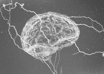 L’Agriculture hors-sol, une recherche égyptienne prometteuse 