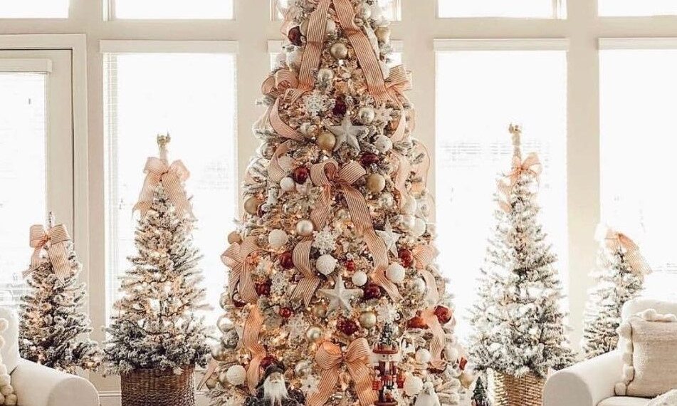 A chacun son sapin… 1 - Le Progrès Egyptien