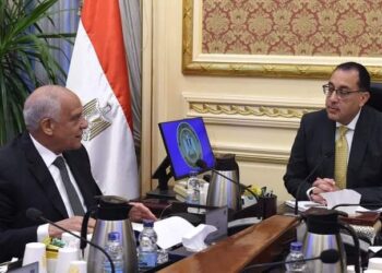 Suivi des projets de développement à Guiza