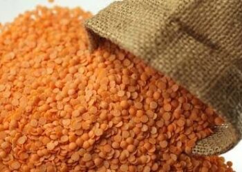 Eli mayerafch yéoul adsse