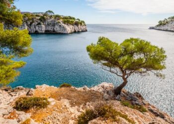 Sauver la Méditerranée de la pollution