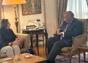Choucri affirme l’importance du rôle de la FMO dans la consolidation de la paix