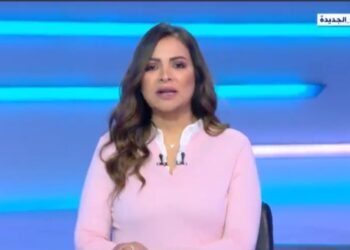 Talk show: Les pays européens souffrent de la crise économique