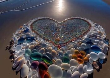 Charm, l’ensorcelante!