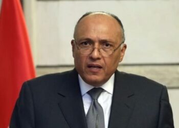 Appel téléphonique Choucri et son homologue israélien